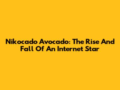 Nikocado Avocado: The Rise And Fall Of An Internet Star
