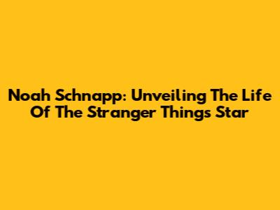 Noah Schnapp: Unveiling The Life Of The 'Stranger Things' Star
