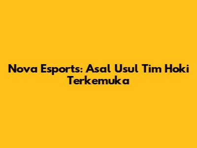 Nova Esports: Asal Usul Tim Hoki Terkemuka