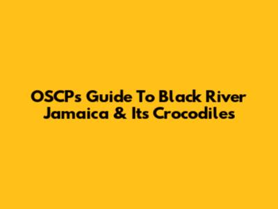 OSCP's Guide To Black River Jamaica & Its Crocodiles