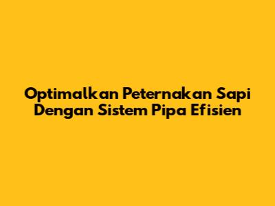 Optimalkan Peternakan Sapi Dengan Sistem Pipa Efisien