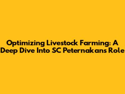 Optimizing Livestock Farming: A Deep Dive Into SC Peternakan's Role