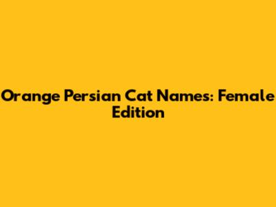 Orange Persian Cat Names: Female Edition
