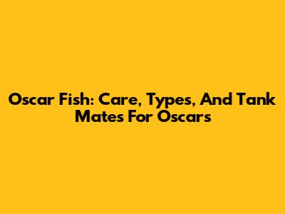 Oscar Fish: Care, Types, And Tank Mates For Oscars