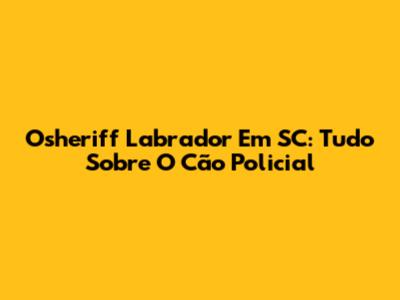 Osheriff Labrador Em SC: Tudo Sobre O Cão Policial