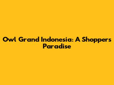 Owl Grand Indonesia: A Shopper's Paradise