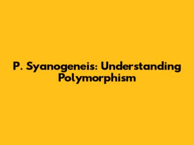 P. Syanogeneis: Understanding Polymorphism