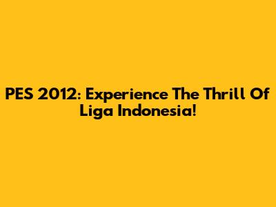 PES 2012: Experience The Thrill Of Liga Indonesia!