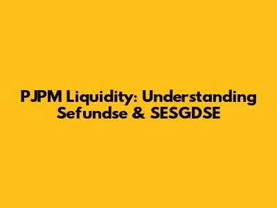 PJPM Liquidity: Understanding Sefundse & SESGDSE