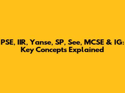 PSE, IIR, Yanse, SP, See, MCSE & IG: Key Concepts Explained