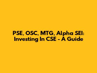 PSE, OSC, MTG, Alpha SEI: Investing In CSE - A Guide