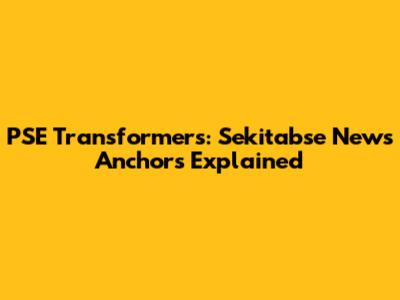 PSE Transformers: Sekitabse News Anchors Explained