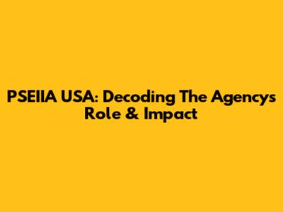 PSEIIA USA: Decoding The Agency's Role & Impact
