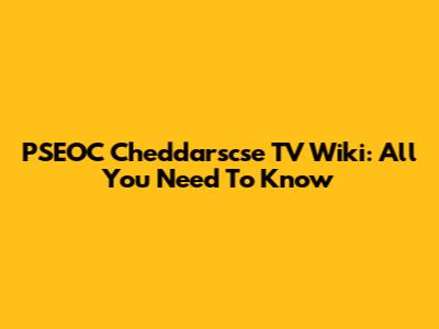 PSEOC Cheddarscse TV Wiki: All You Need To Know