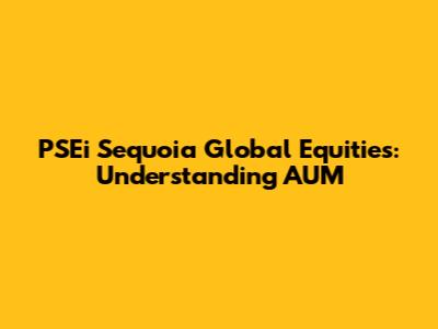 PSEi Sequoia Global Equities: Understanding AUM