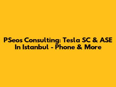 PSeos Consulting: Tesla SC & ASE In Istanbul - Phone & More