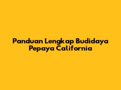 Panduan Lengkap Budidaya Pepaya California