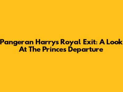 Pangeran Harry's Royal Exit: A Look At The Prince's Departure