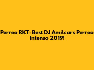 Perreo RKT: Best DJ Amilcar's Perreo Intenso 2019!