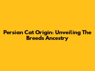 Persian Cat Origin: Unveiling The Breed's Ancestry
