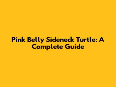 Pink Belly Sideneck Turtle: A Complete Guide