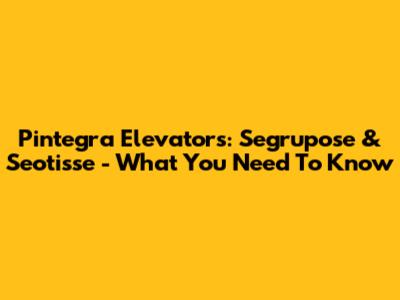Pintegra Elevators: Segrupose & Seotisse - What You Need To Know