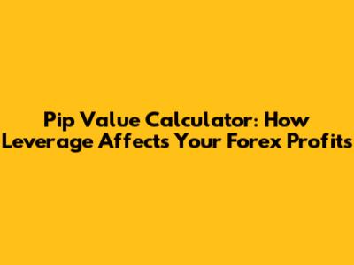 Pip Value Calculator: How Leverage Affects Your Forex Profits