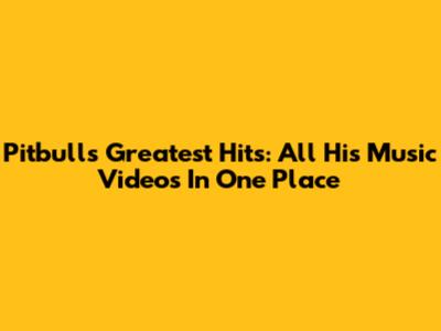 Pitbull's Greatest Hits: All His Music Videos In One Place