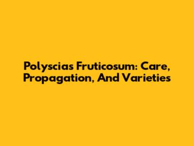 Polyscias Fruticosum: Care, Propagation, And Varieties