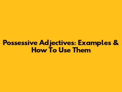 Possessive Adjectives: Examples & How To Use Them