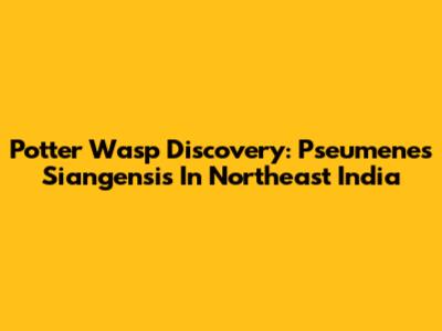 Potter Wasp Discovery: *Pseumenes Siangensis* In Northeast India