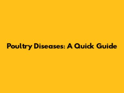 Poultry Diseases: A Quick Guide