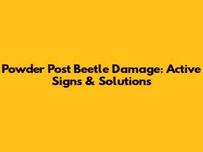 Powder Post Beetle Damage: Active Signs & Solutions