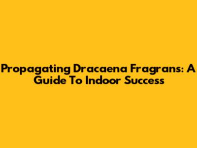 Propagating Dracaena Fragrans: A Guide To Indoor Success