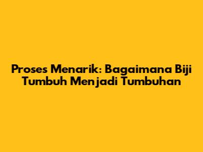 Proses Menarik: Bagaimana Biji Tumbuh Menjadi Tumbuhan