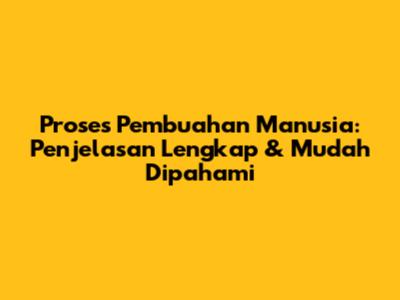 Proses Pembuahan Manusia: Penjelasan Lengkap & Mudah Dipahami