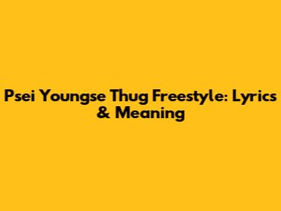 Psei Youngse Thug Freestyle: Lyrics & Meaning