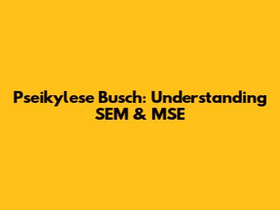 Pseikylese Busch: Understanding SEM & MSE