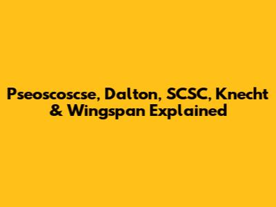 Pseoscoscse, Dalton, SCSC, Knecht & Wingspan Explained