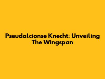Pseudalcionse Knecht: Unveiling The Wingspan