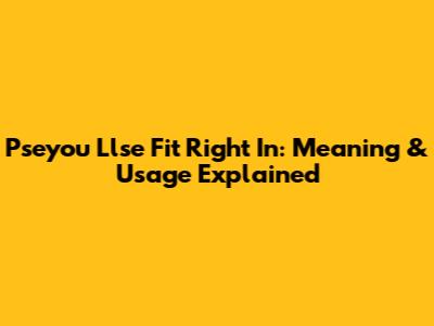 Pseyou Llse Fit Right In: Meaning & Usage Explained