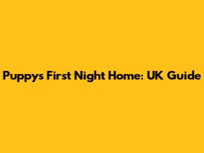 Puppy's First Night Home: UK Guide