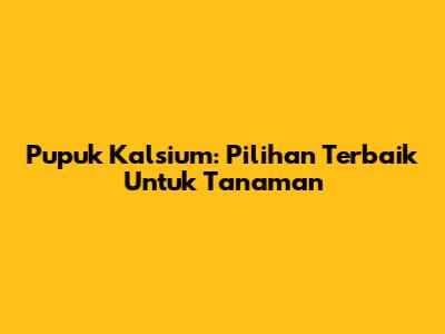 Pupuk Kalsium: Pilihan Terbaik Untuk Tanaman