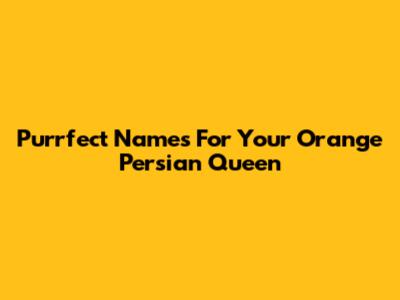 Purrfect Names For Your Orange Persian Queen