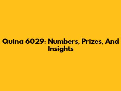 Quina 6029: Numbers, Prizes, And Insights