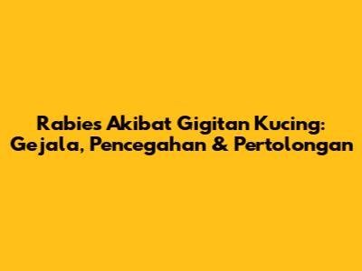 Rabies Akibat Gigitan Kucing: Gejala, Pencegahan & Pertolongan