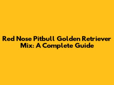 Red Nose Pitbull Golden Retriever Mix: A Complete Guide