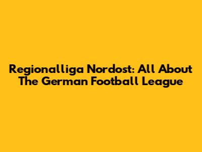 Regionalliga Nordost: All About The German Football League