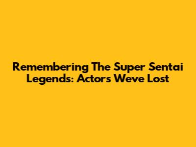 Remembering The Super Sentai Legends: Actors We've Lost