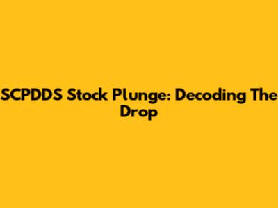 SCPDDS Stock Plunge: Decoding The Drop